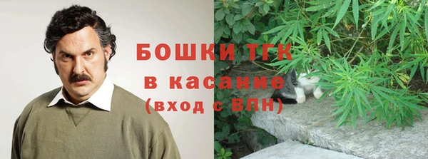 бошки Бородино