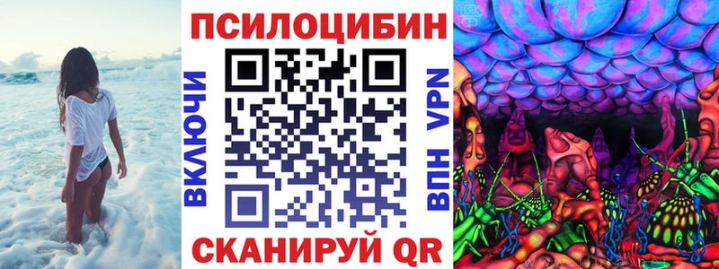 Галлюциногенные грибы Psilocybine cubensis  Кочубеевское 